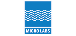 Client Logo 31