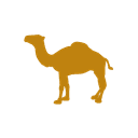 Jaisalmer