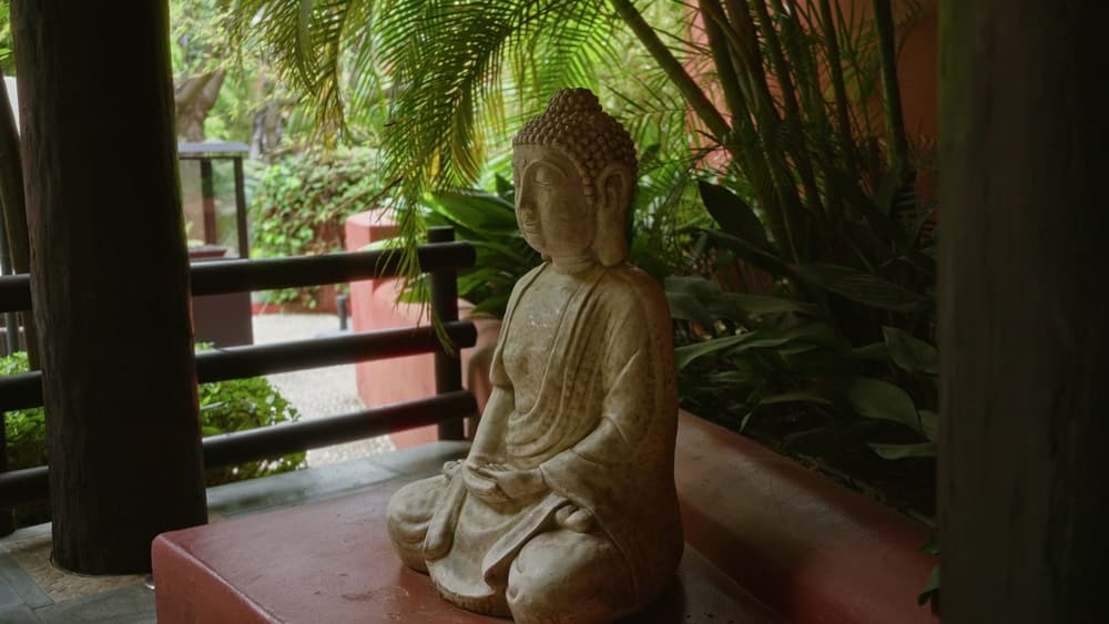 Best Spiritual and Wellness Getaways Near Delhi