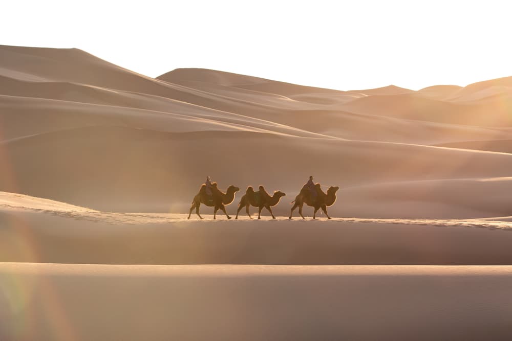 desert safari in jaisalmer